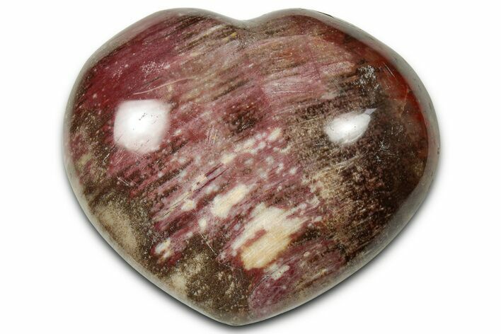 Polished Triassic Petrified Wood Heart - Madagascar #355642